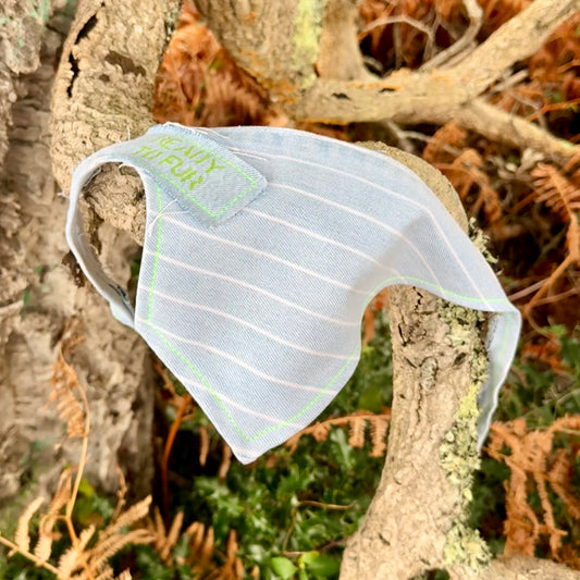 STRUT — Dog Bandana Size S