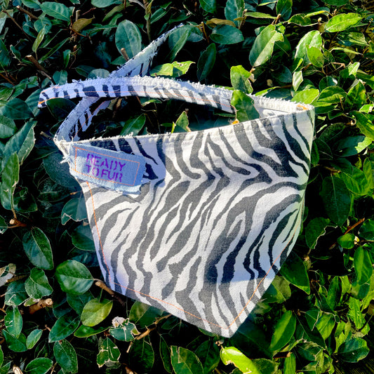 RUCKUS — Dog Bandana Size XL