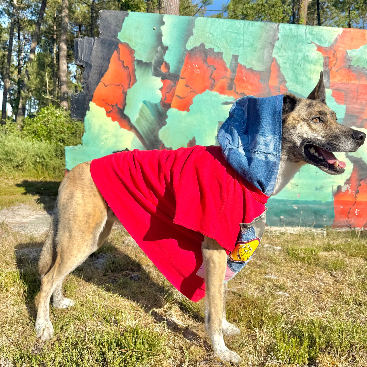 Dog Hoodie RIOT — Size L/XL