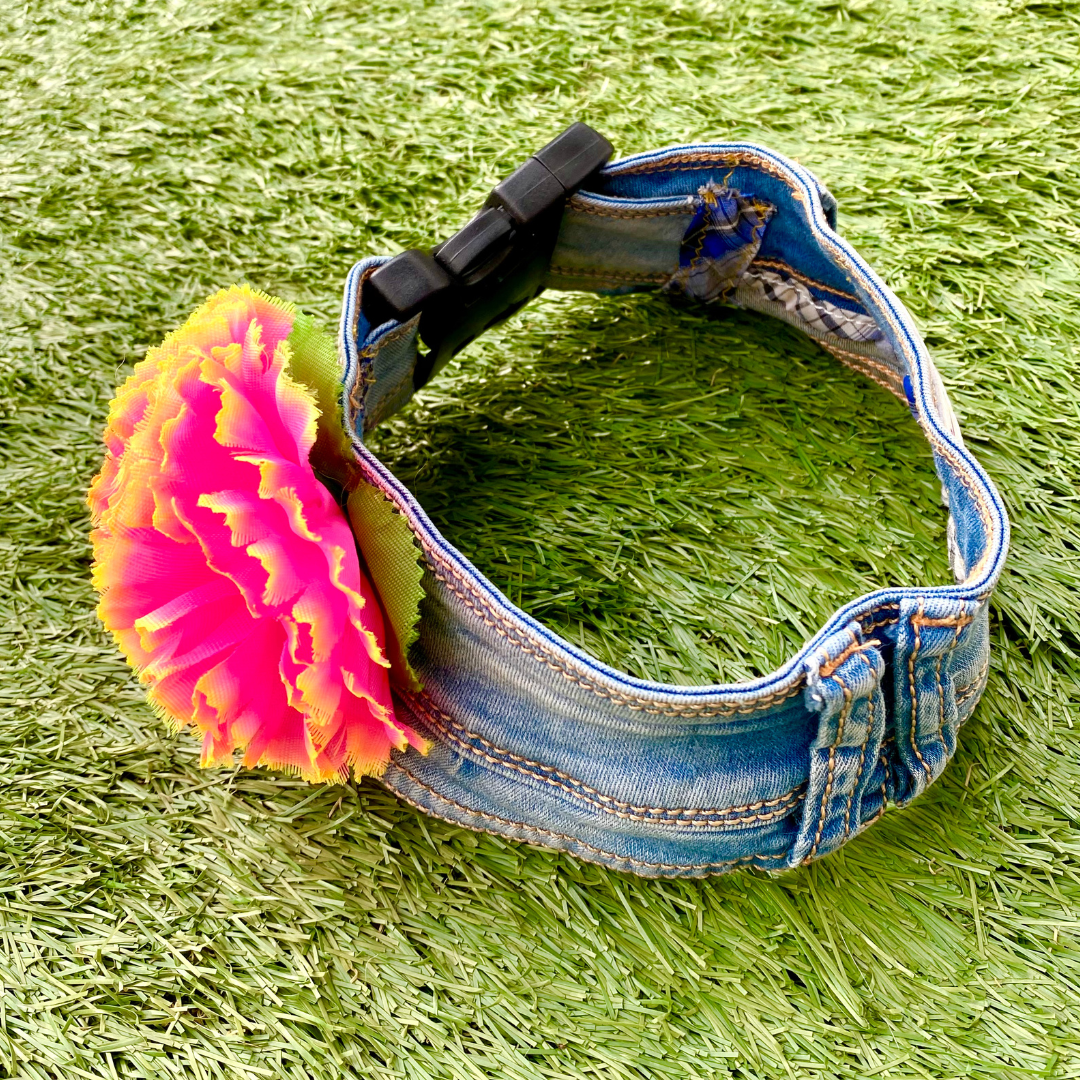 Prototype Collar NOT FOR SALE