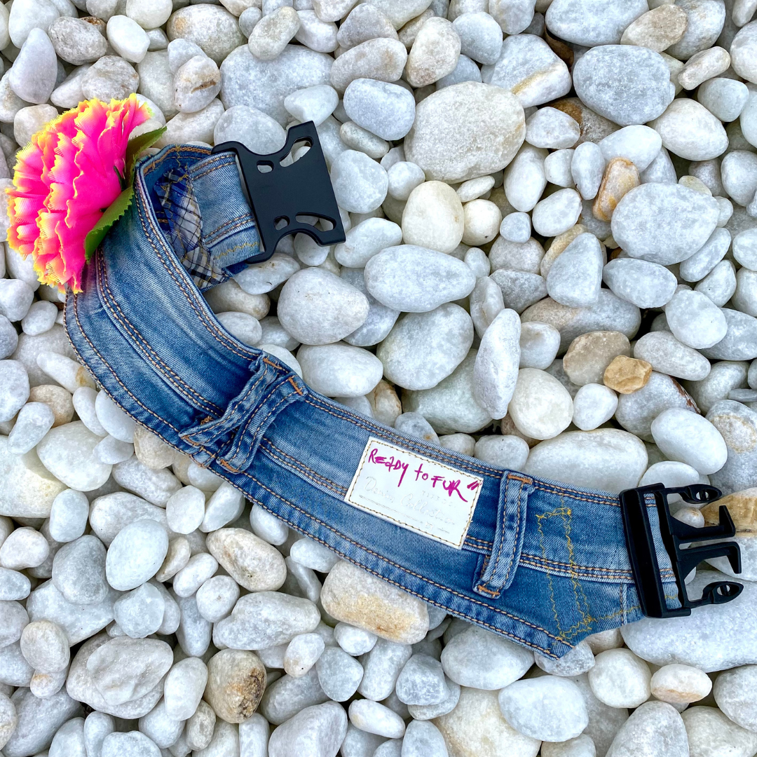 Prototype Collar NOT FOR SALE