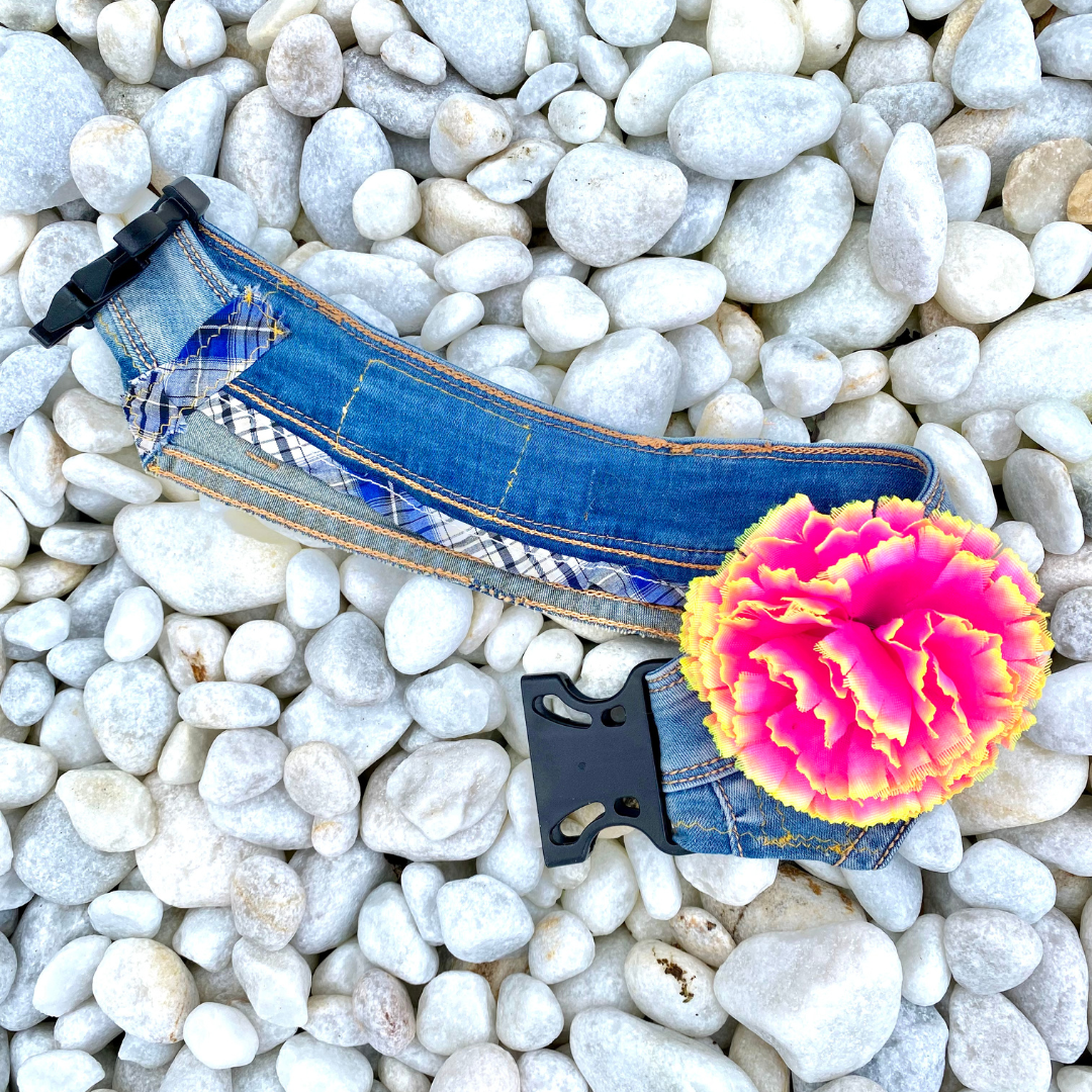 Prototype Collar NOT FOR SALE