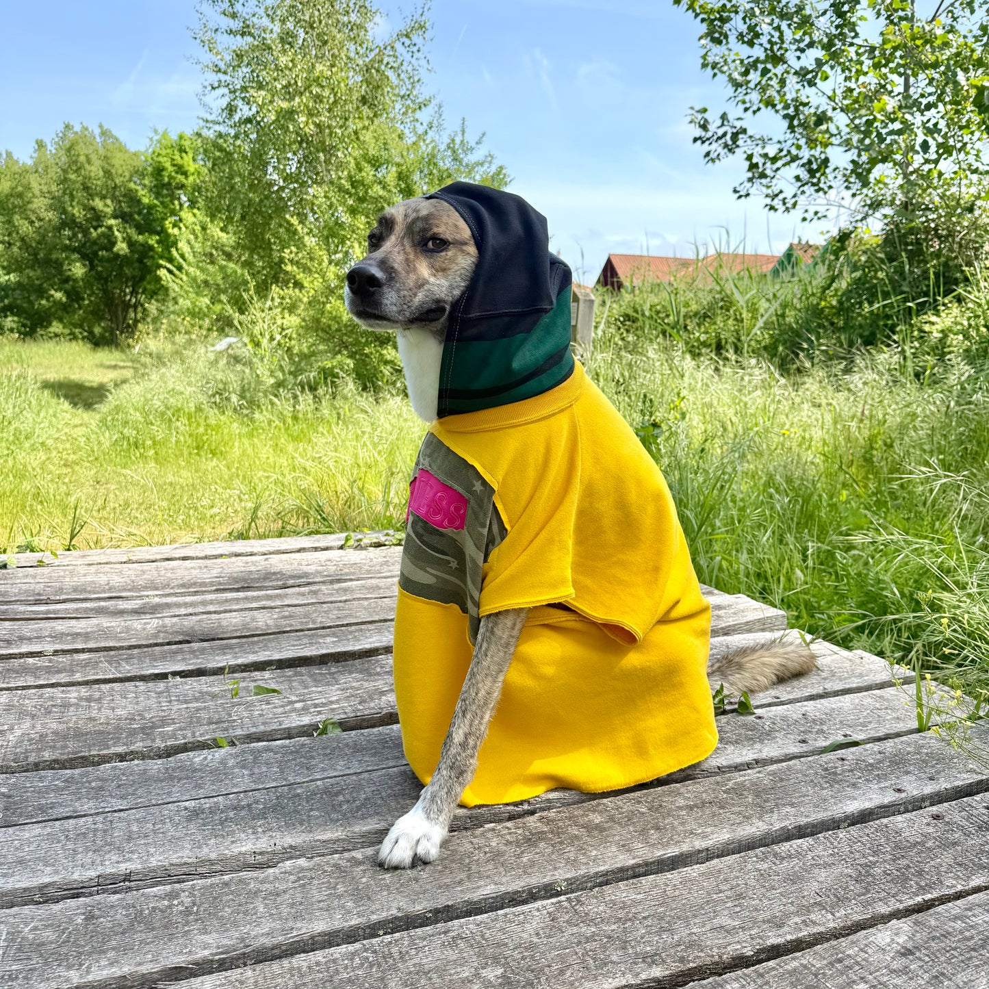 Dog Hoodie DON’T WORRY BE HAPPY — Size L/XL
