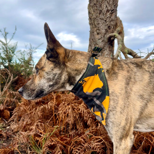 REBEL — Dog Bandana Size L