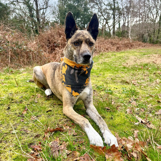 REBEL — Dog Bandana Size L