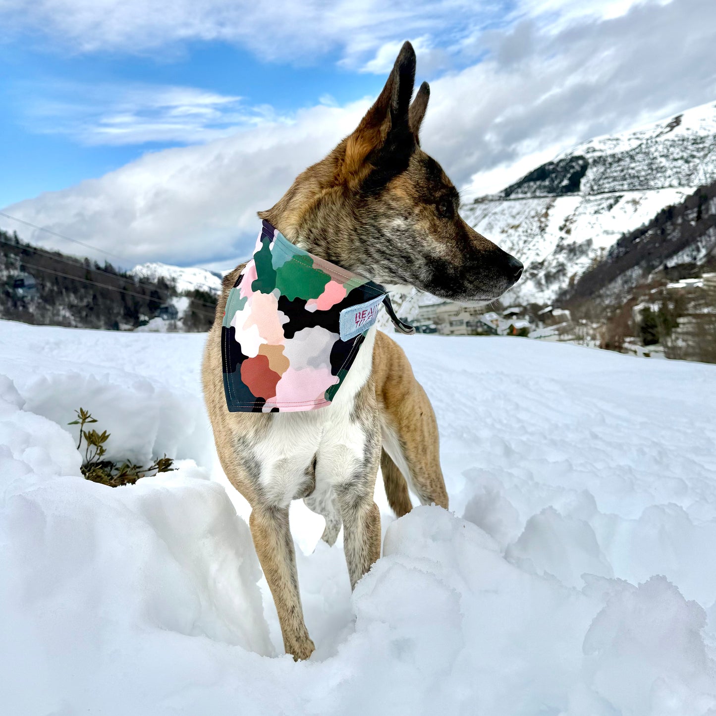 EXPLORER — Camo Dog Bandana Size M/L