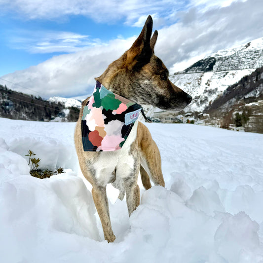 EXPLORER — Camo Dog Bandana Size M/L