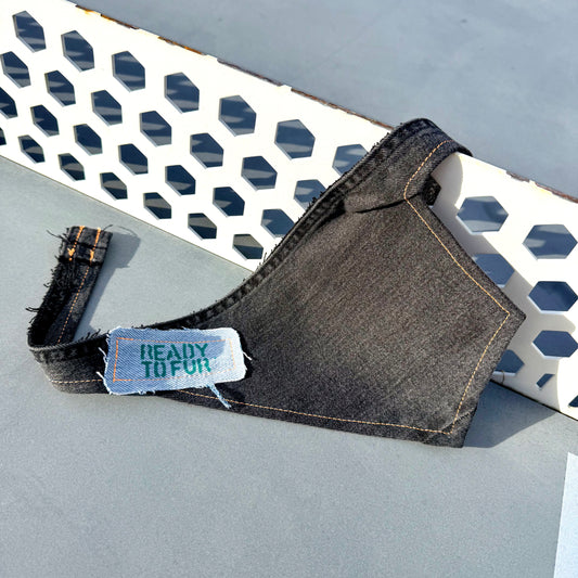 JET — Dog Bandana Size S