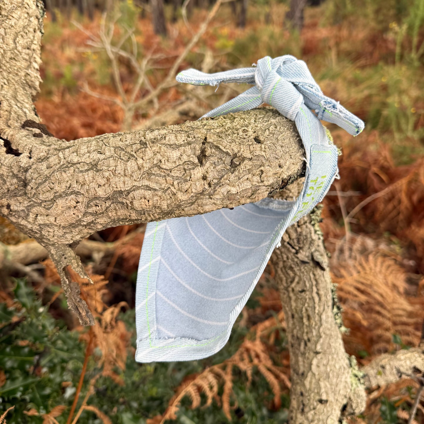 STRUT — Dog Bandana Size S