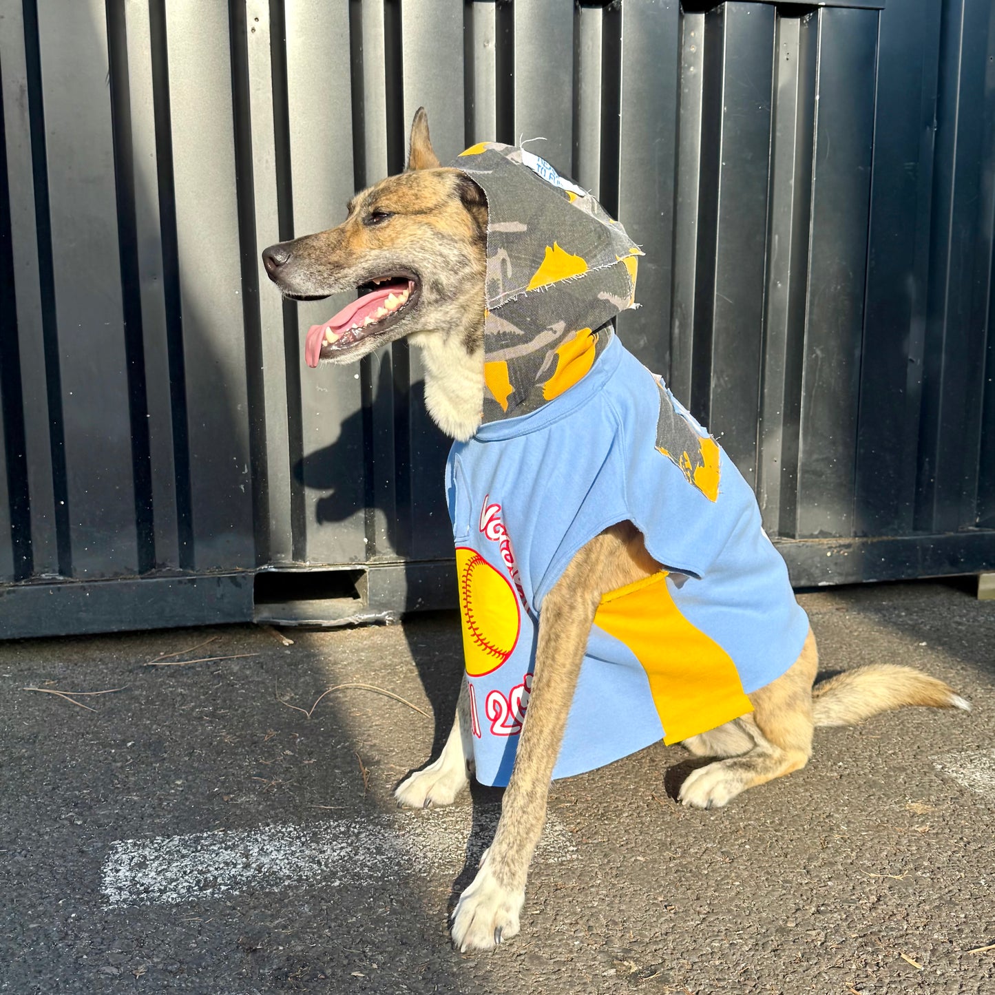 Dog Hoodie MAJOR WAG 5 — Size M/L