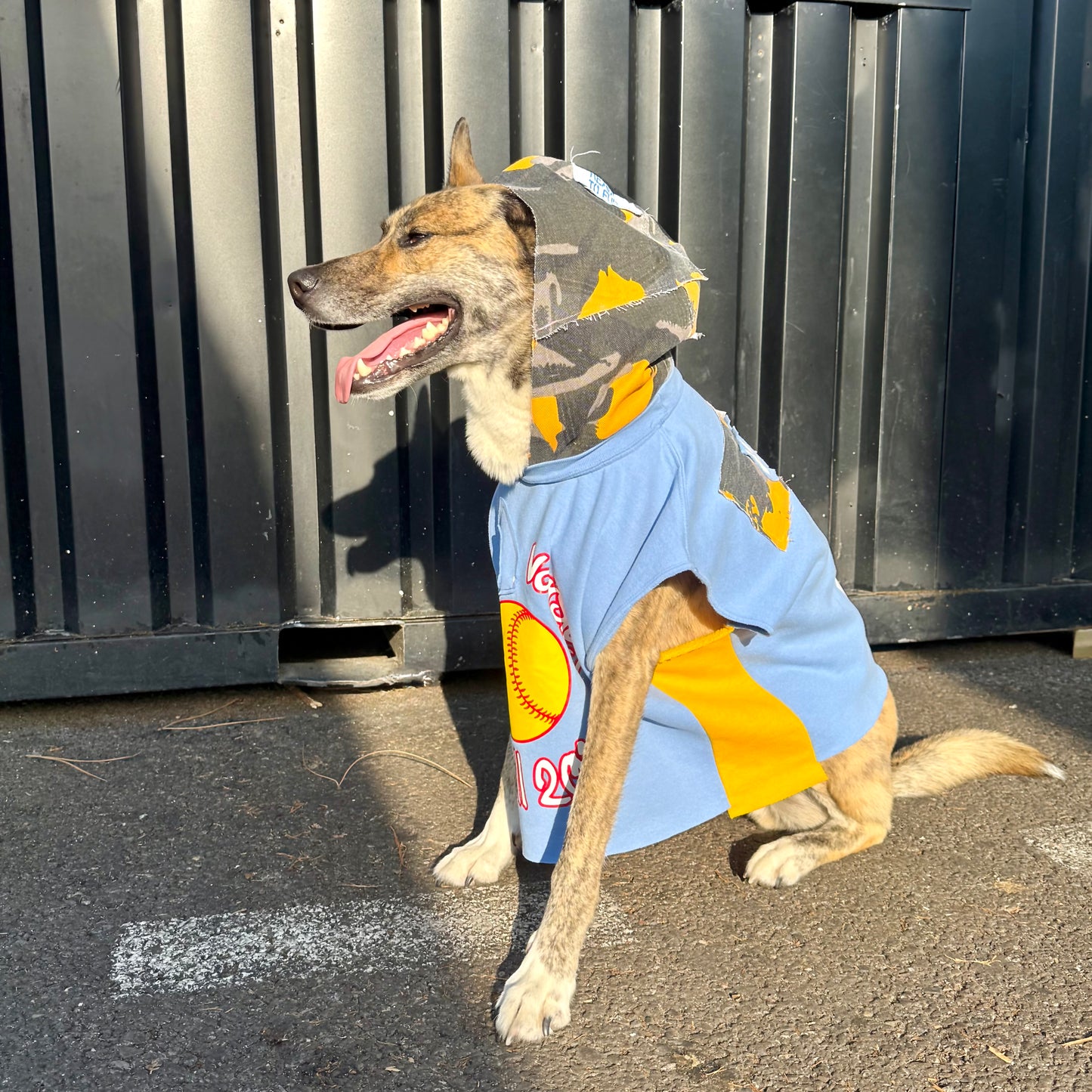 Dog Hoodie EASY WAG 5 — Size M/L