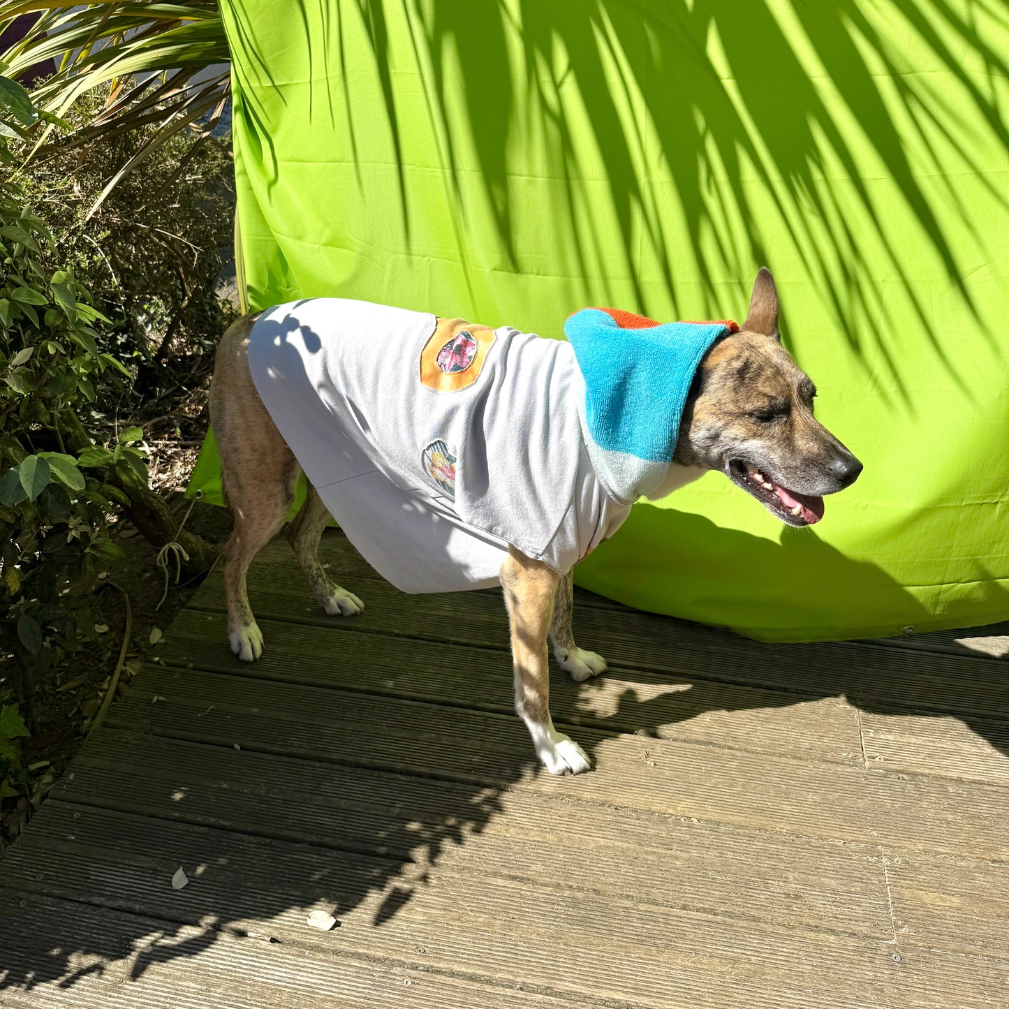 Dog Hoodie BUDDHA — Size M/L