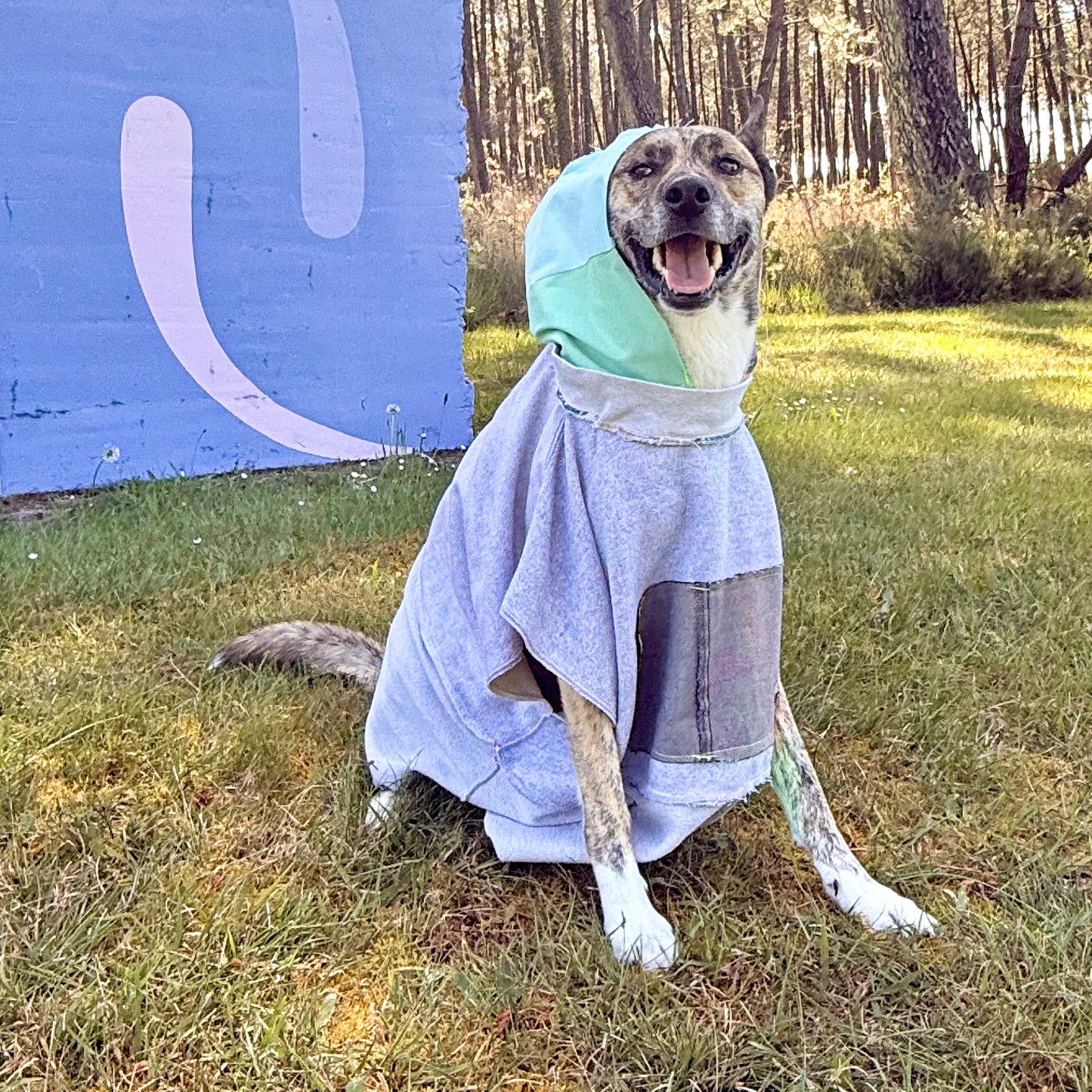 Dog Hoodie SCOUT — Size XL/2XL