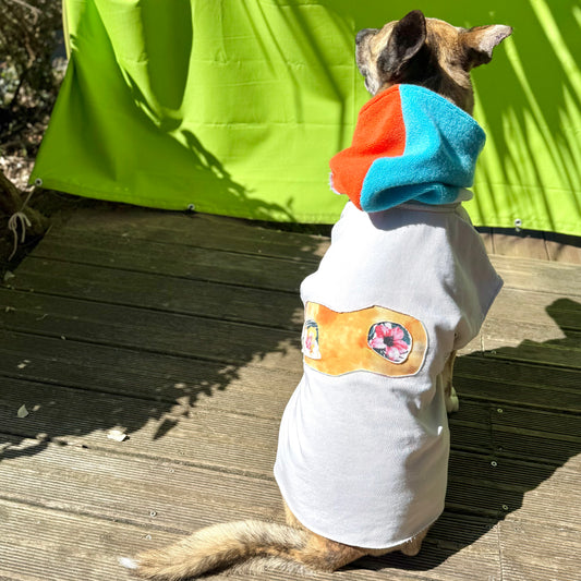 Dog Hoodie BUDDHA — Size M/L