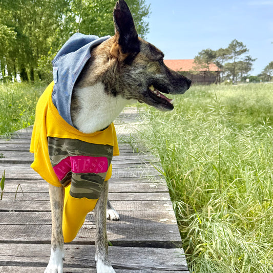 Dog Hoodie DON’T WORRY BE HAPPY — Size L/XL