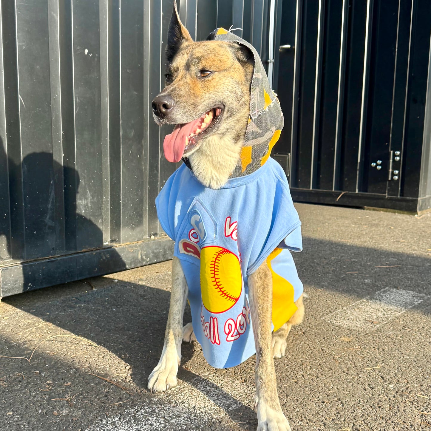 Dog Hoodie MAJOR WAG 5 — Size M/L