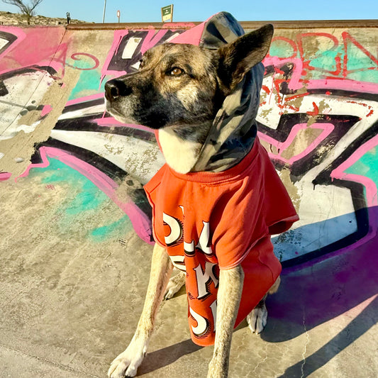 Dog Hoodie LULU — Size M/L