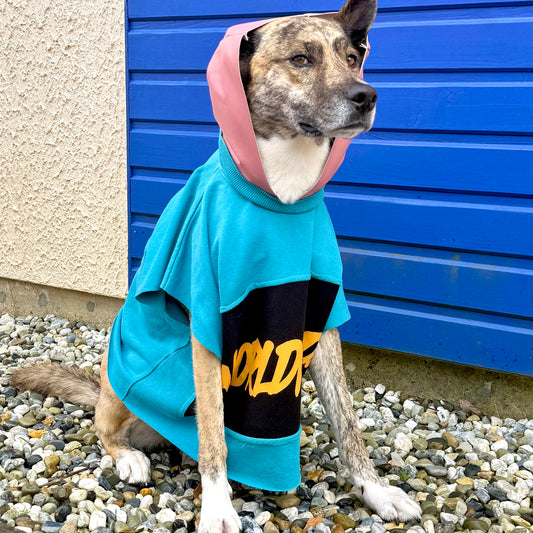 Dog Hoodie PRINCESA — Size M/L