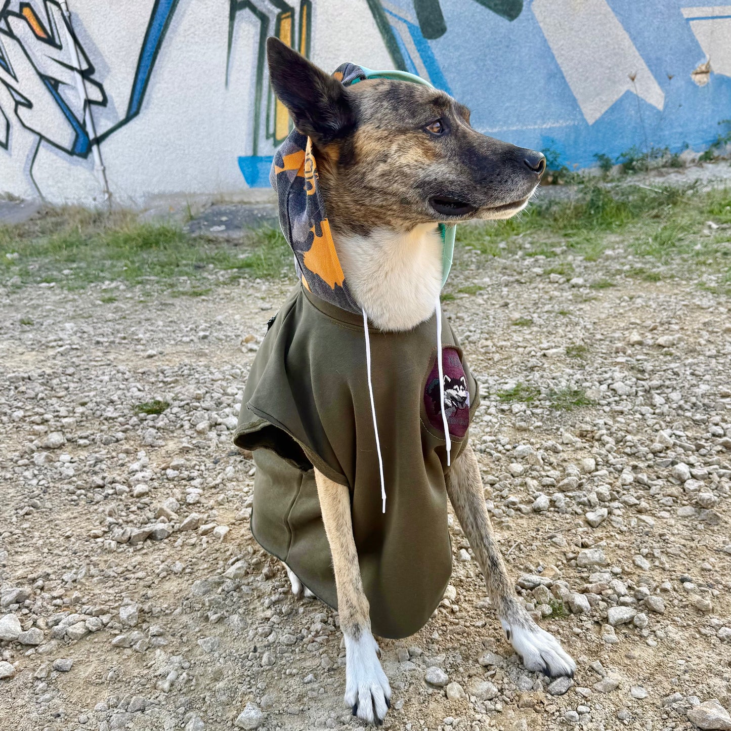 Dog Hoodie MOGLI — Size L/XL