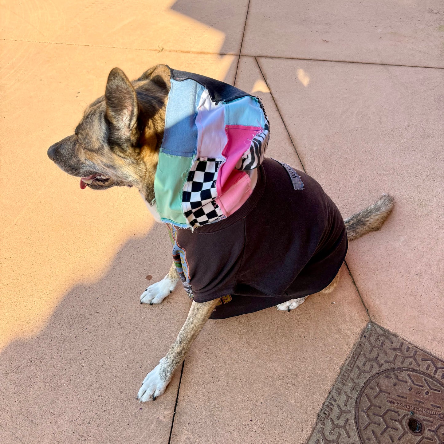 Dog Hoodie CHICO — Size M/L