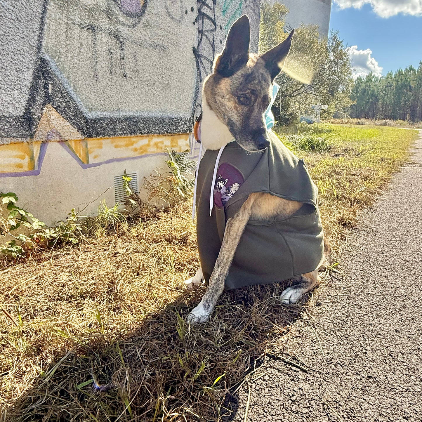 Dog Hoodie MOGLI — Size L/XL
