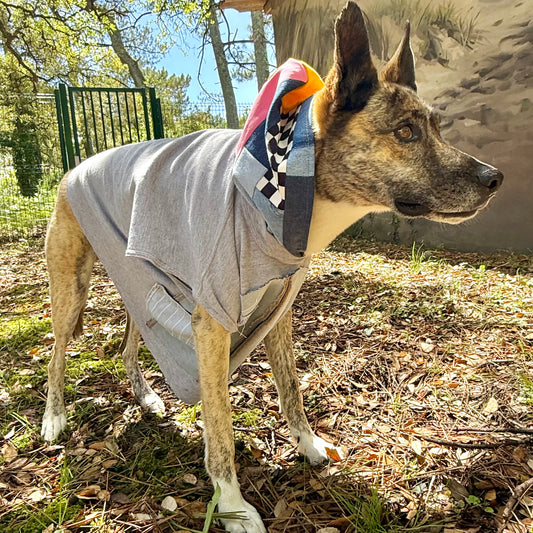 Dog Hoodie MISTY — Size M/L