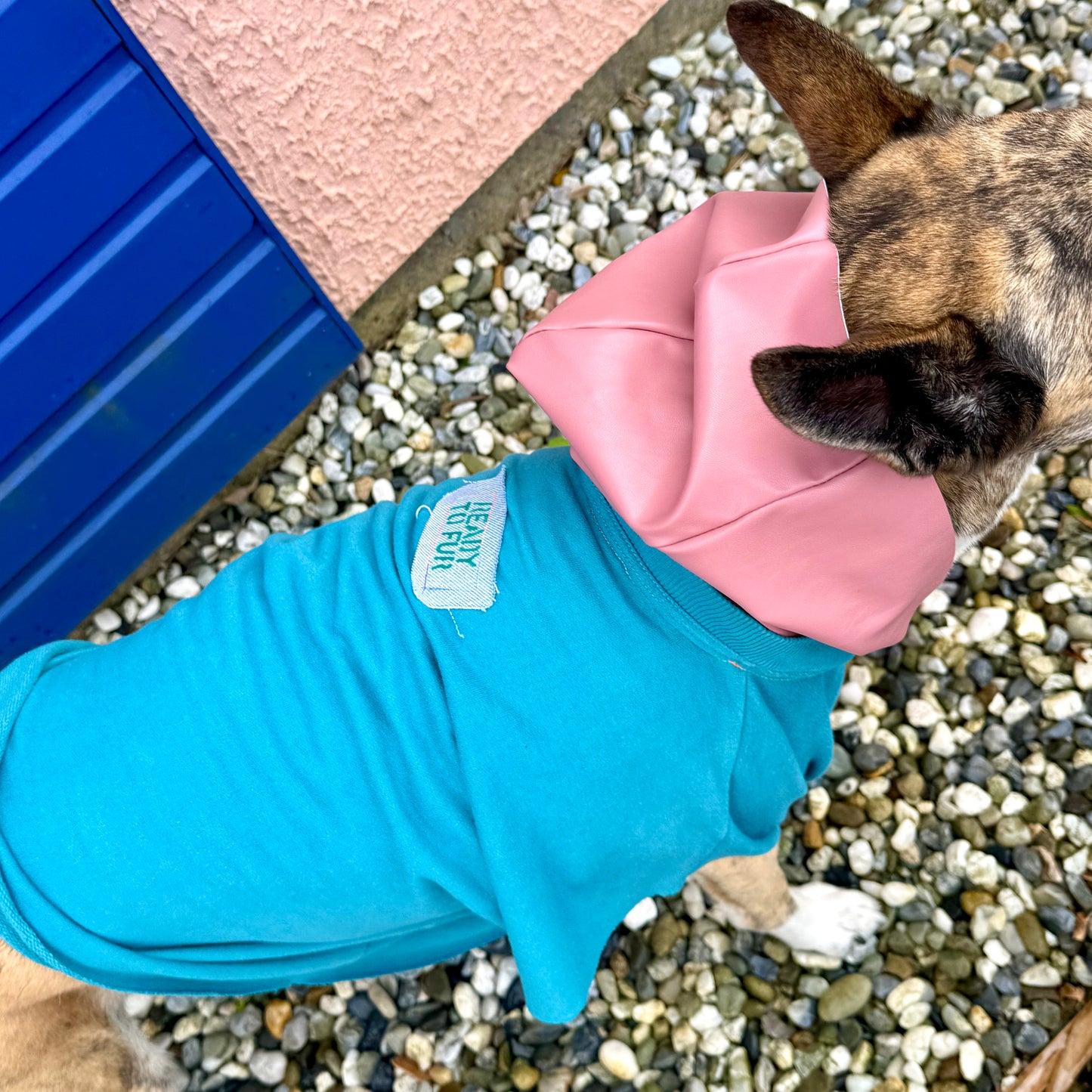 Dog Hoodie PRINCESA — Size M/L