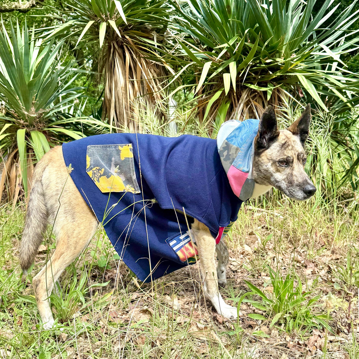 Dog Hoodie OG — Size L/XL