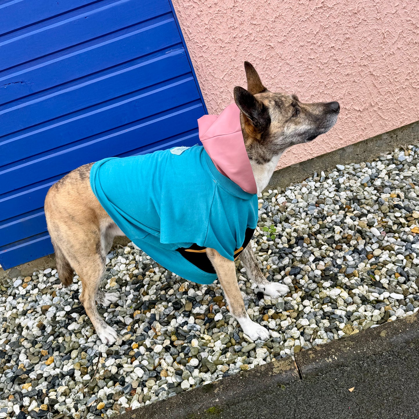 LULU — Dog Hoodie M/L