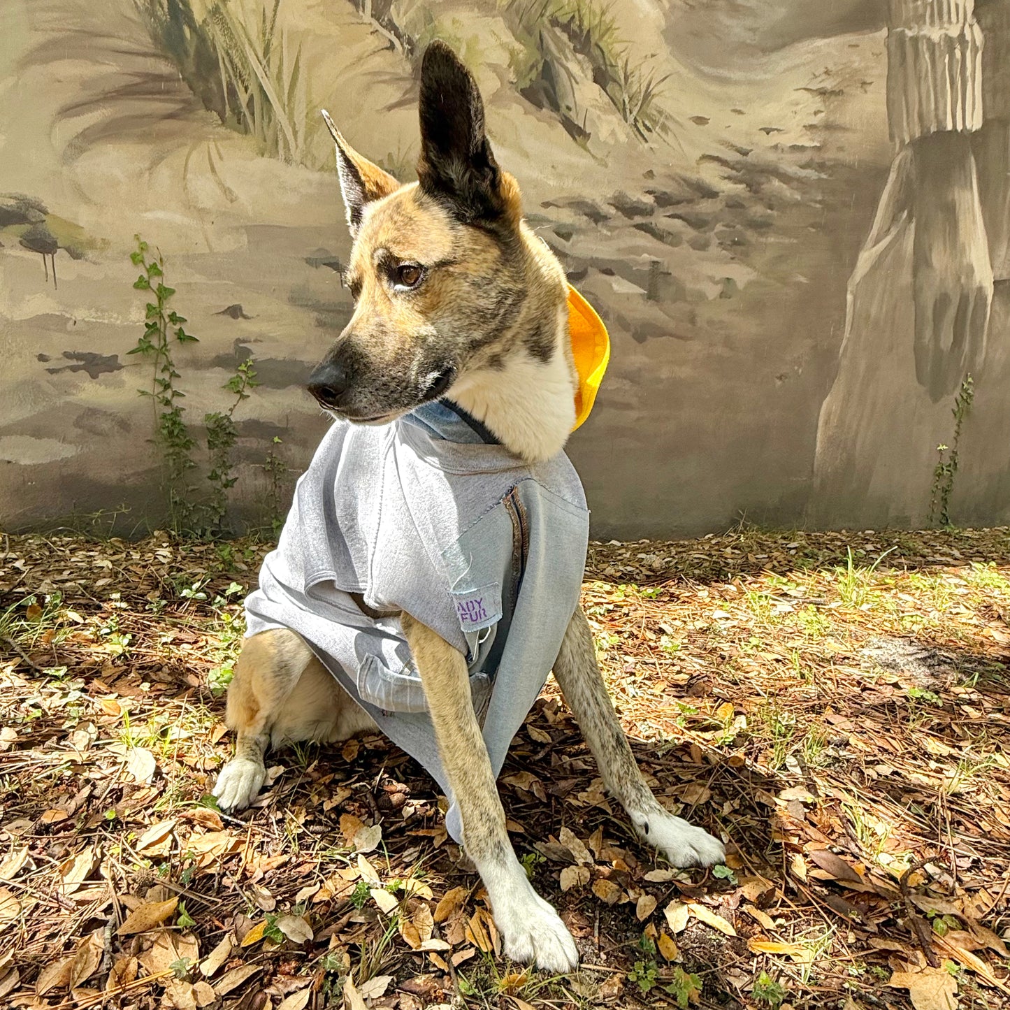 Dog Hoodie MISTY — Size M/L