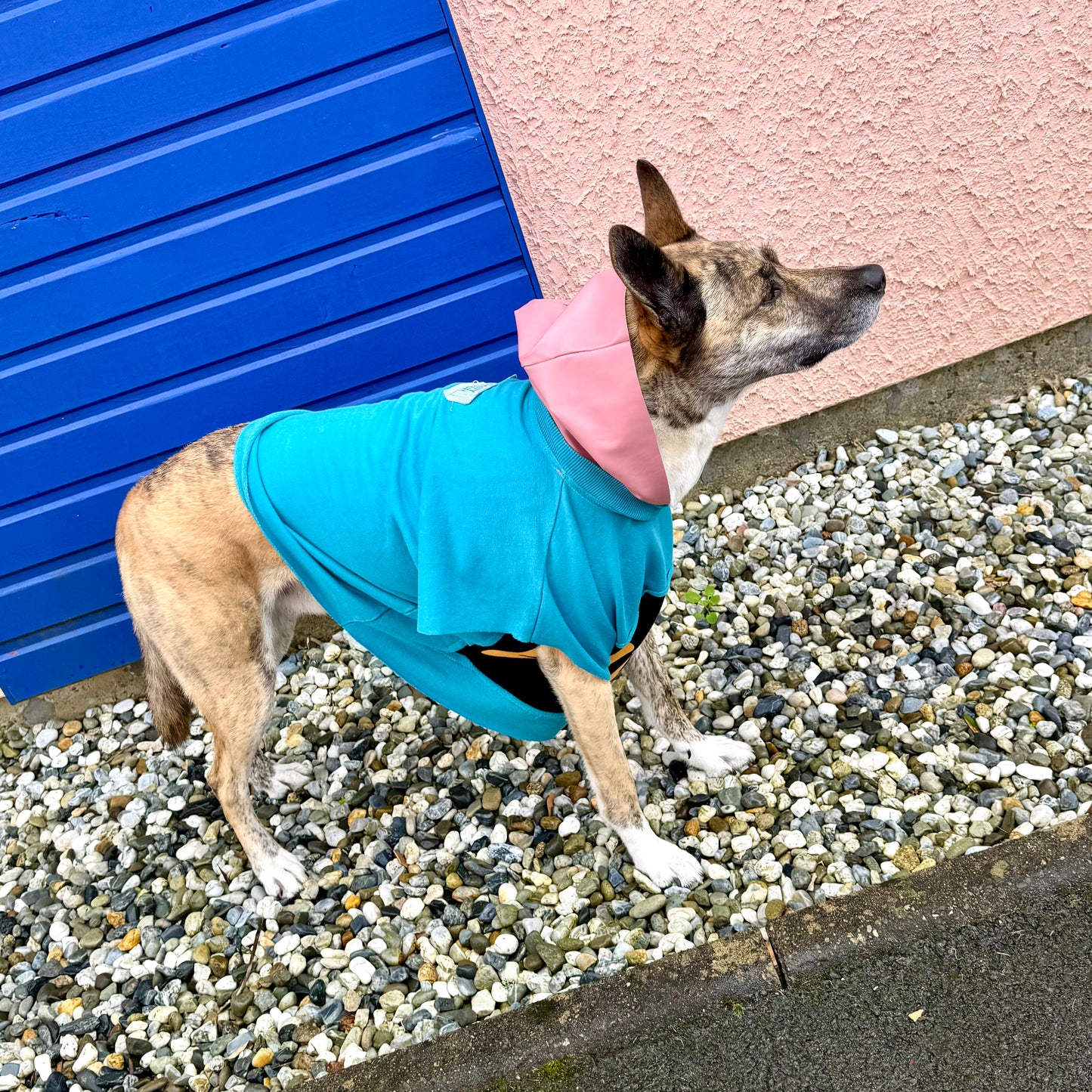 Dog Hoodie PRINCESA — Size M/L