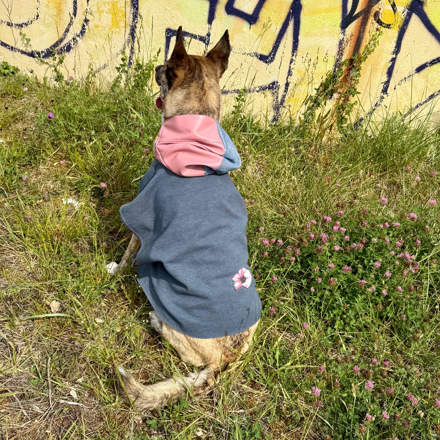 Dog Hoodie DO YOU — Size L/XL