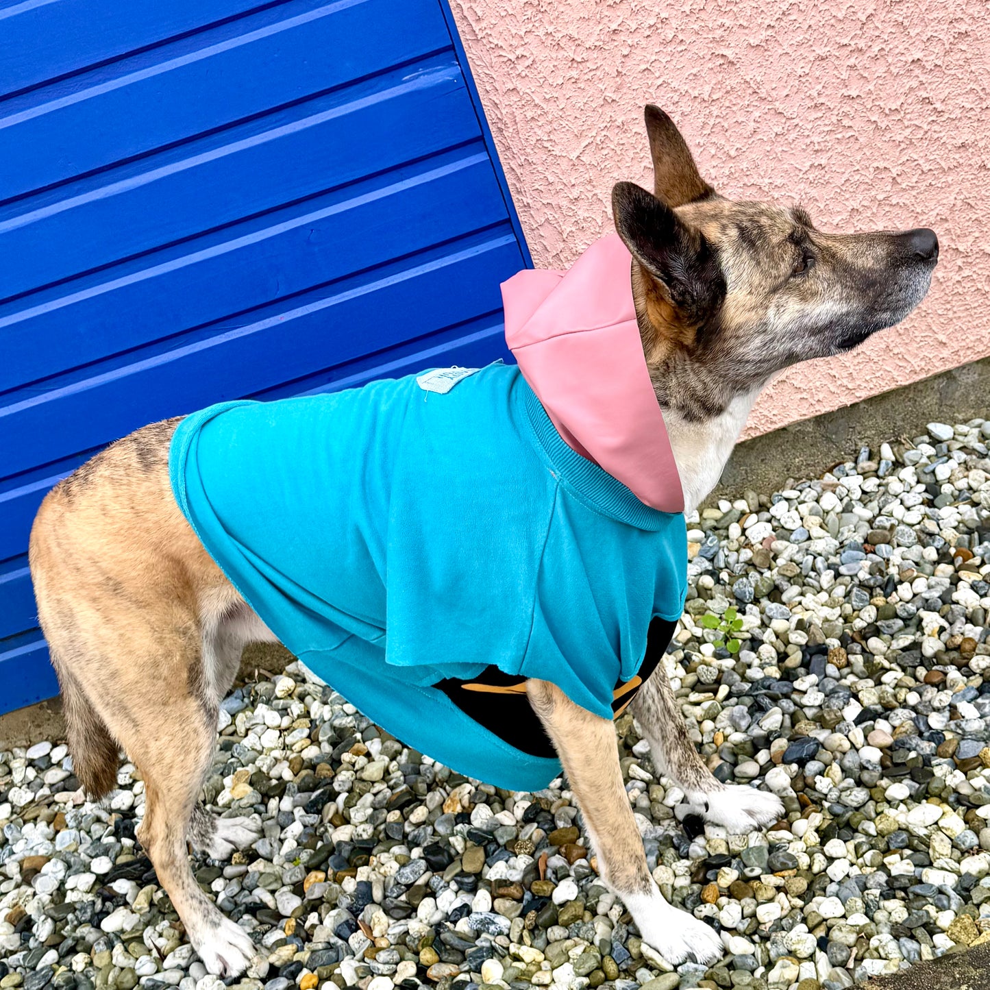 Dog Hoodie PRINCESA — Size M/L