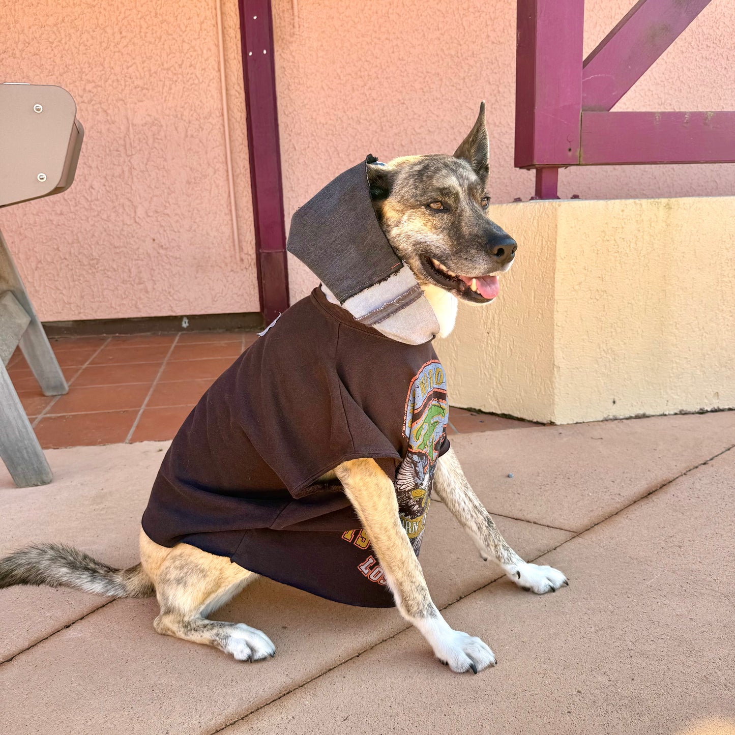 Dog Hoodie CHICO — Size M/L