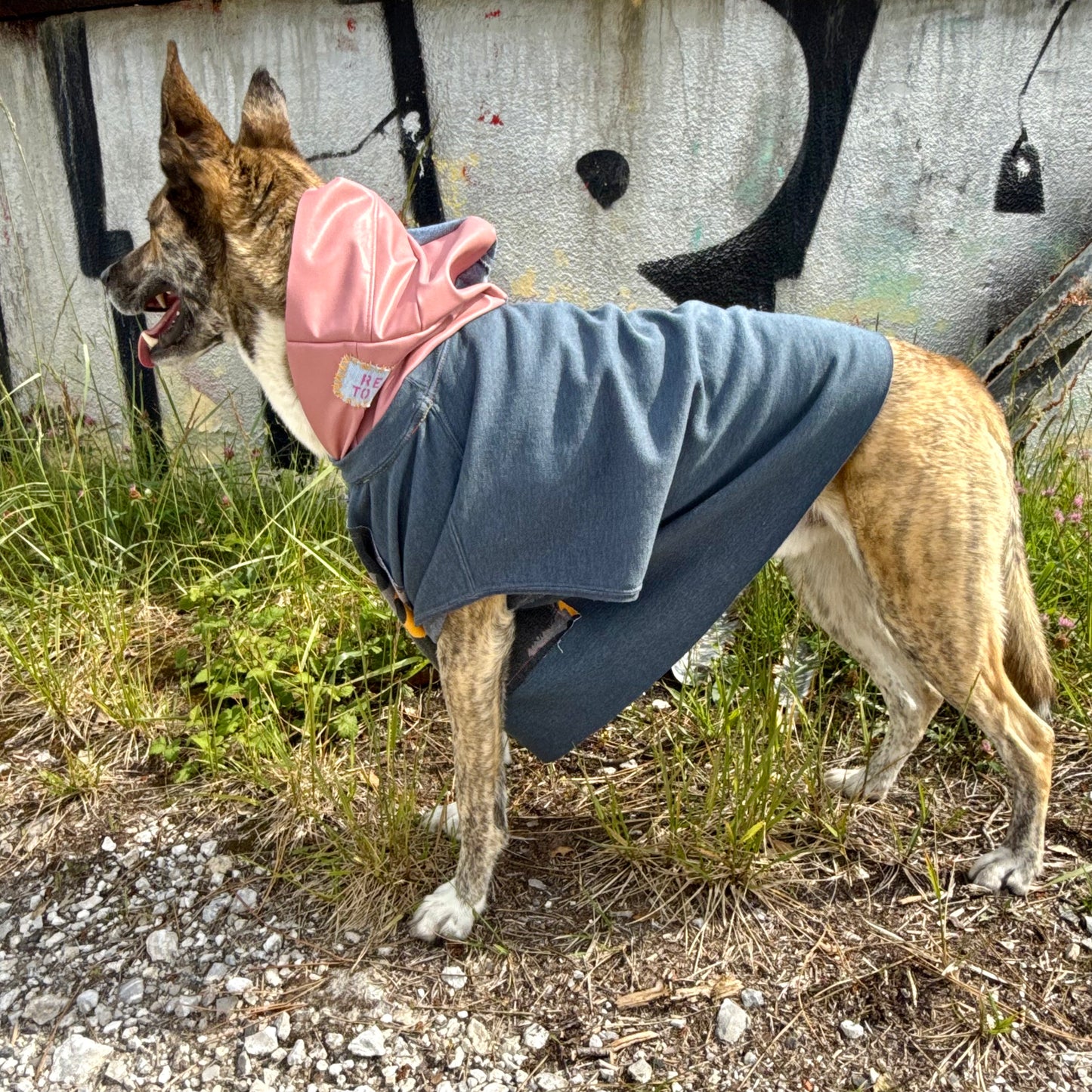 Dog Hoodie DO YOU — Size L/XL