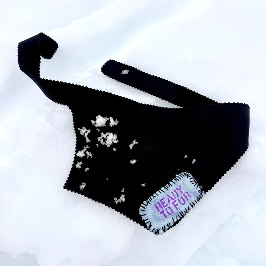 NEGRITA — Neoprene Dog Scarf — ONE SIZE