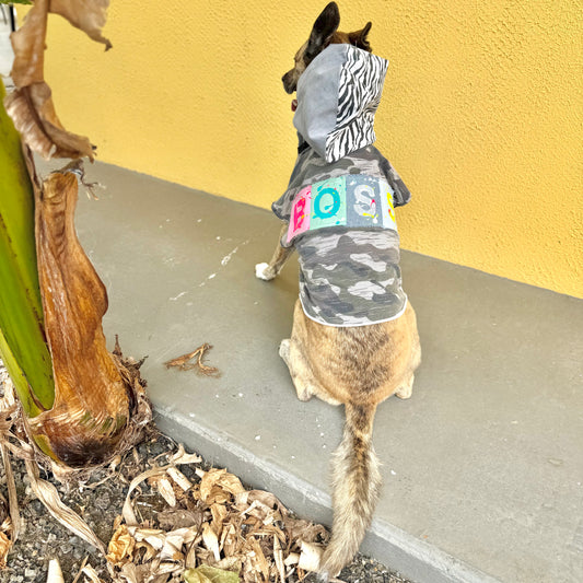 Dog Hoodie BOSS VIBES ONLY — Size M/L