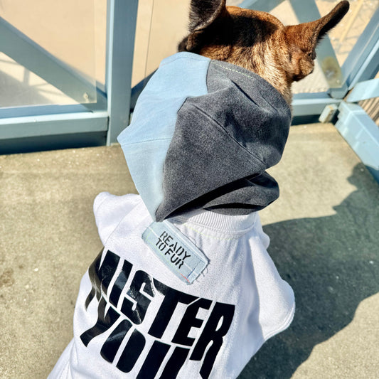 Dog Hoodie BLUE BOY — Size M/L
