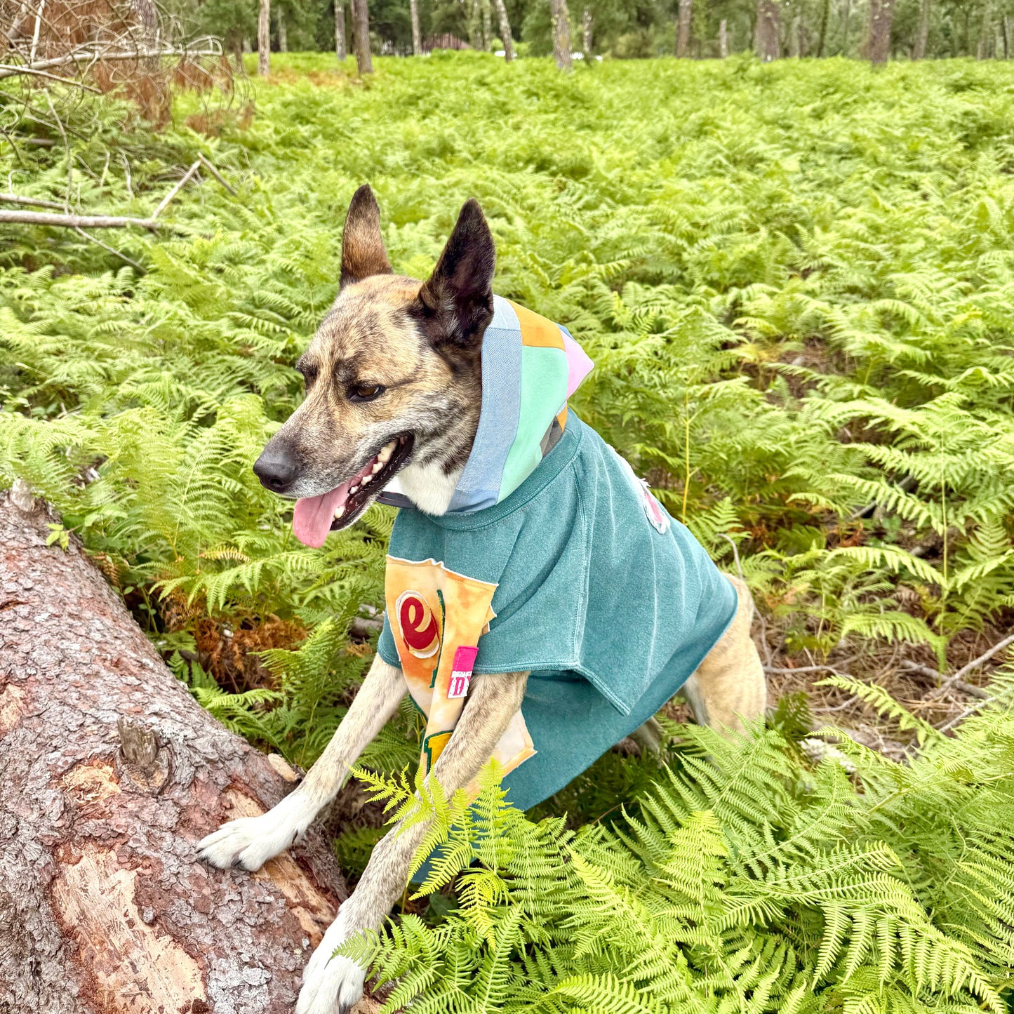 Dog Hoodie FUREVER BESTIE — Size XL/2XL