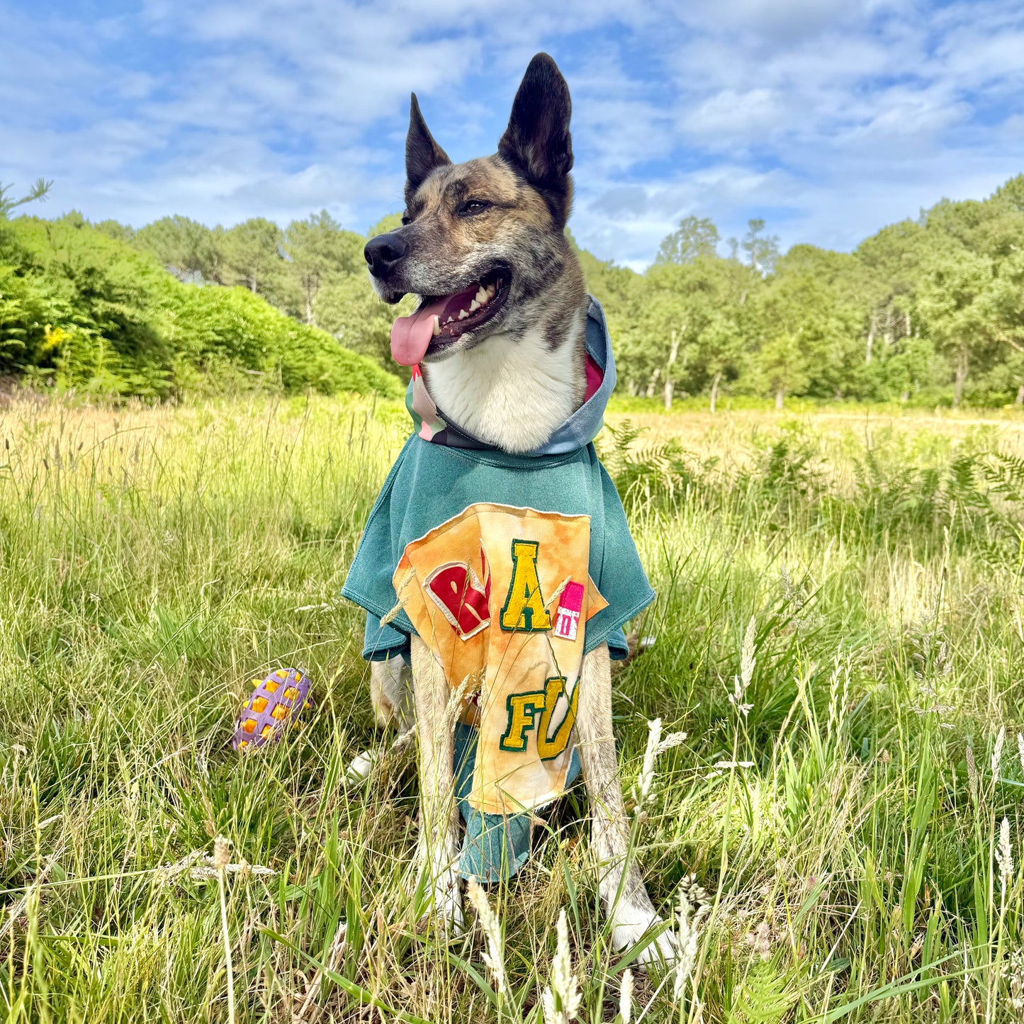 Dog Hoodie FUREVER BESTIE — Size XL/2XL