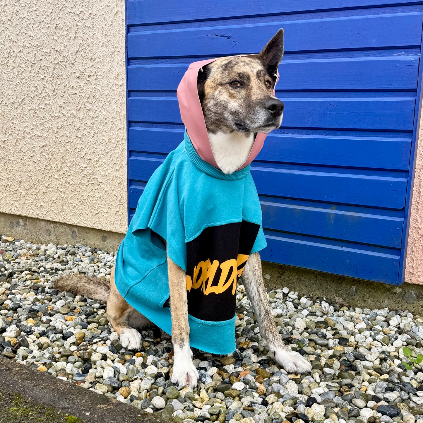 LULU — Dog Hoodie M/L