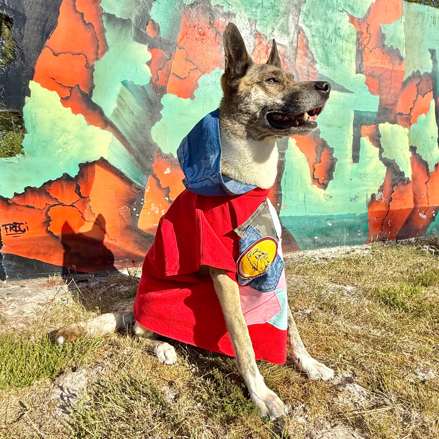 Dog Hoodie RIOT — Size L/XL