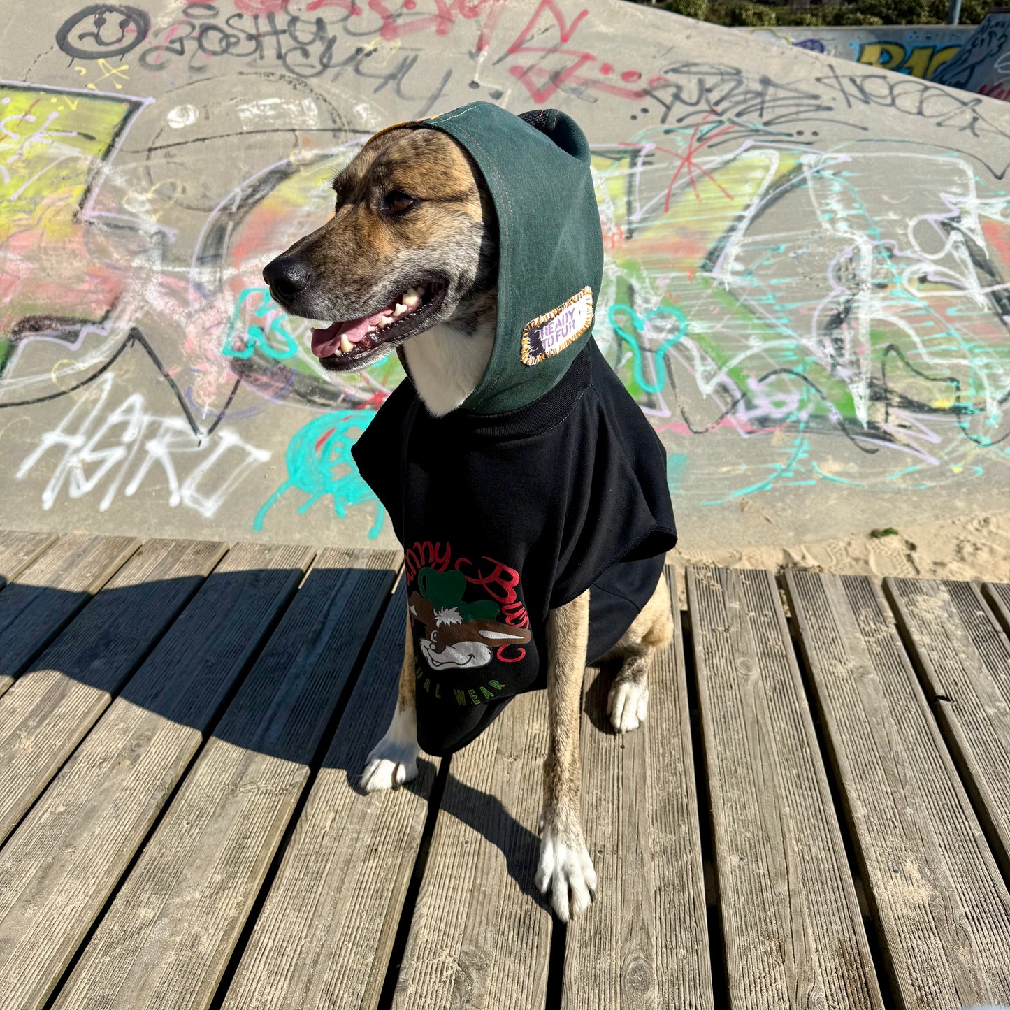 SNOOPY — Dog Hoodie Size M/L