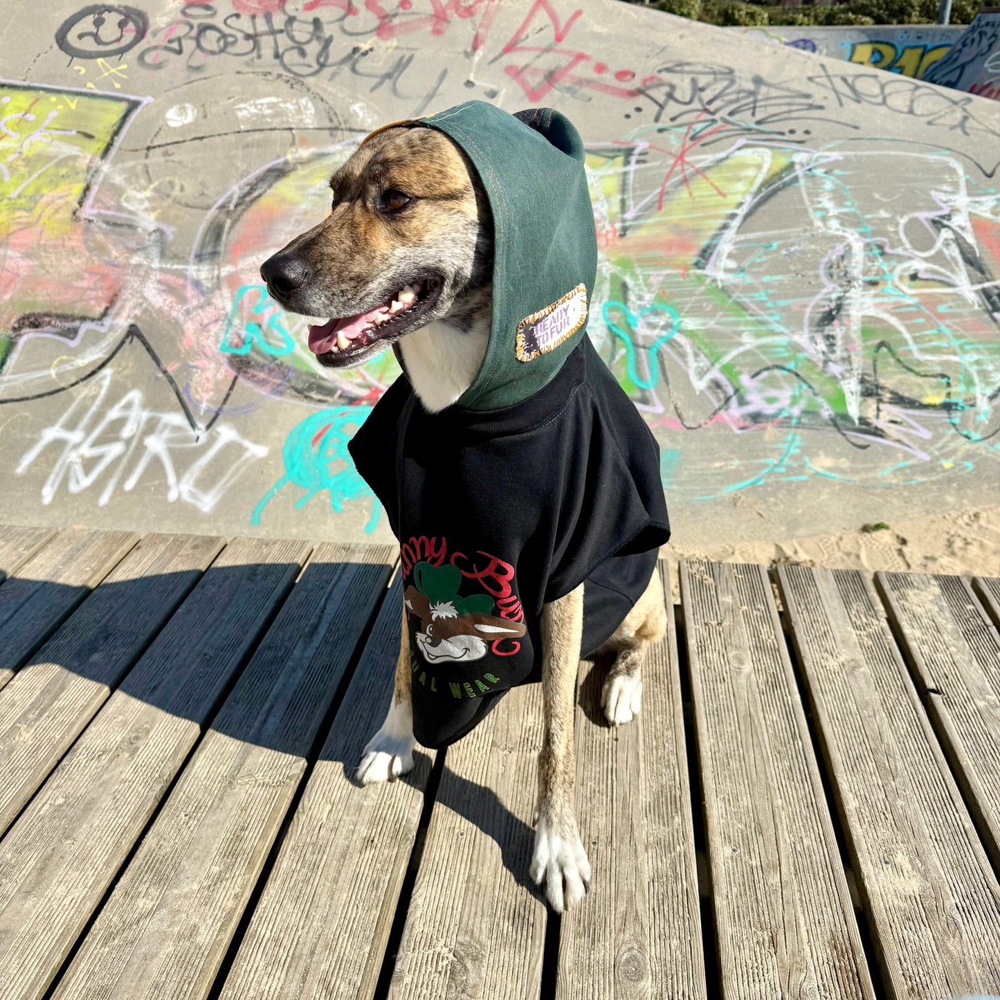 Dog Hoodie SNOOPY — Size M/L