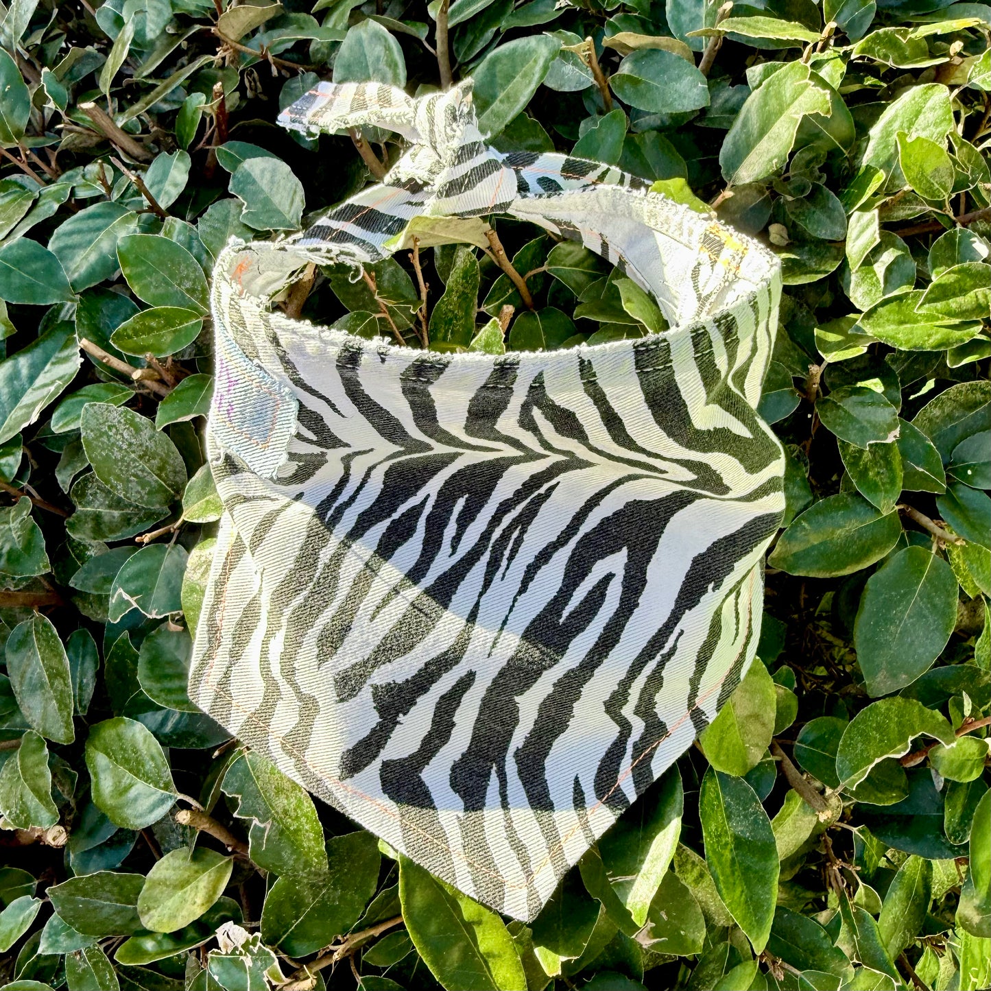 RUCKUS — Dog Bandana Size XL