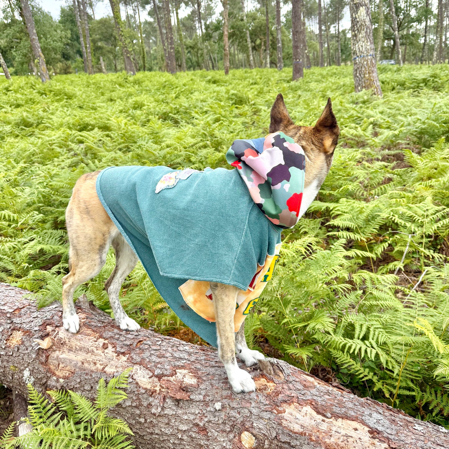 Dog Hoodie FUREVER BESTIE — Size XL/2XL