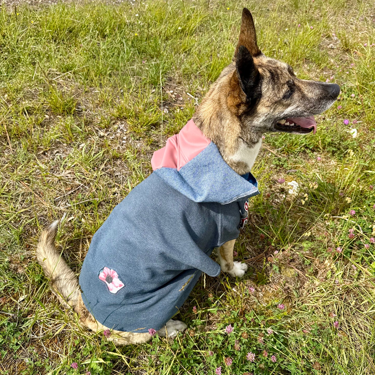 Dog Hoodie DO YOU — Size L/XL