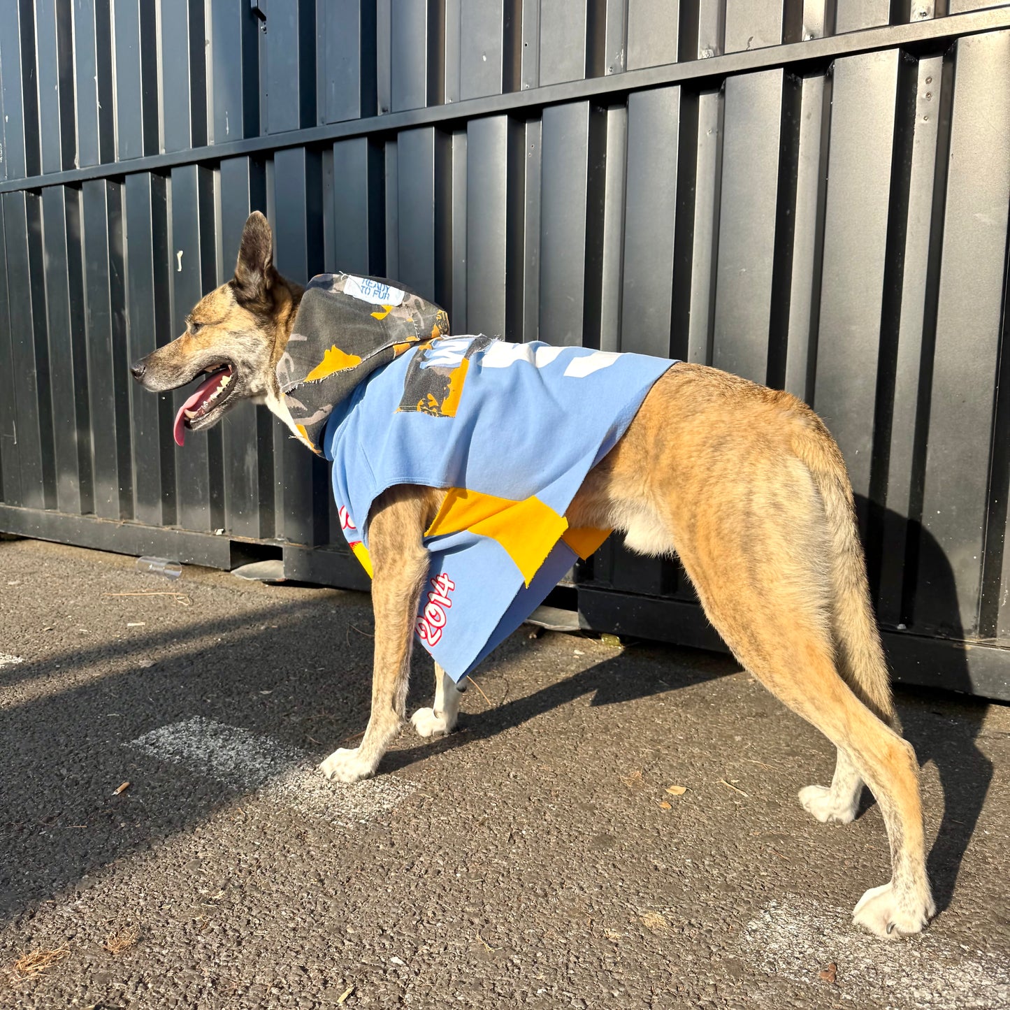 Dog Hoodie MAJOR WAG 5 — Size M/L