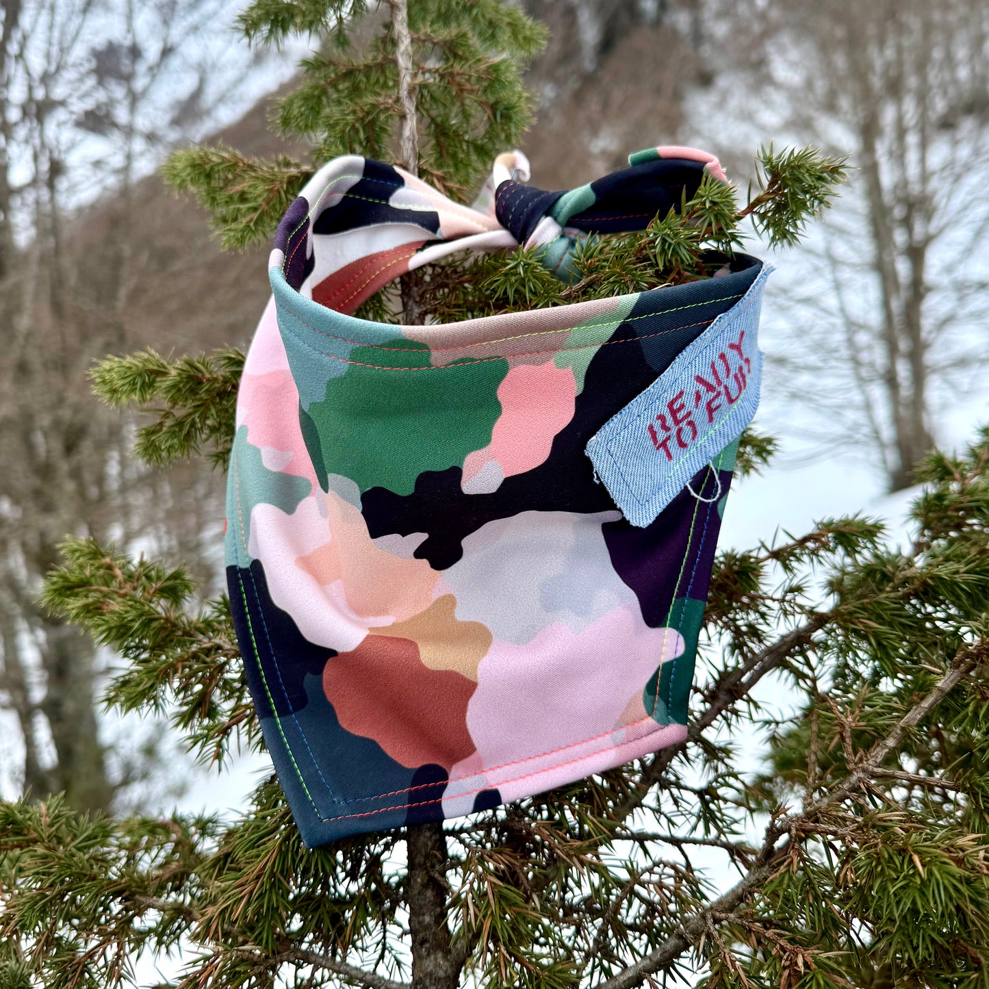 EXPLORER — Camo Dog Bandana Size M/L