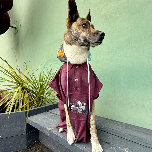 Dog Hoodie MOGLI — Size L/XL